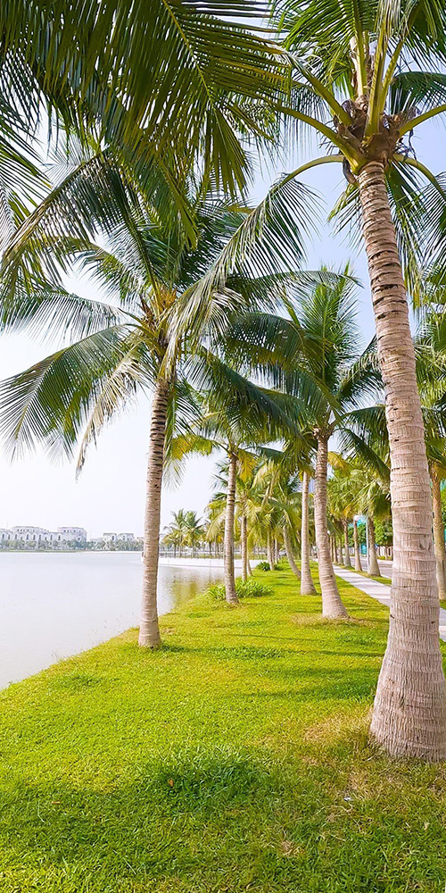Tiêu đề